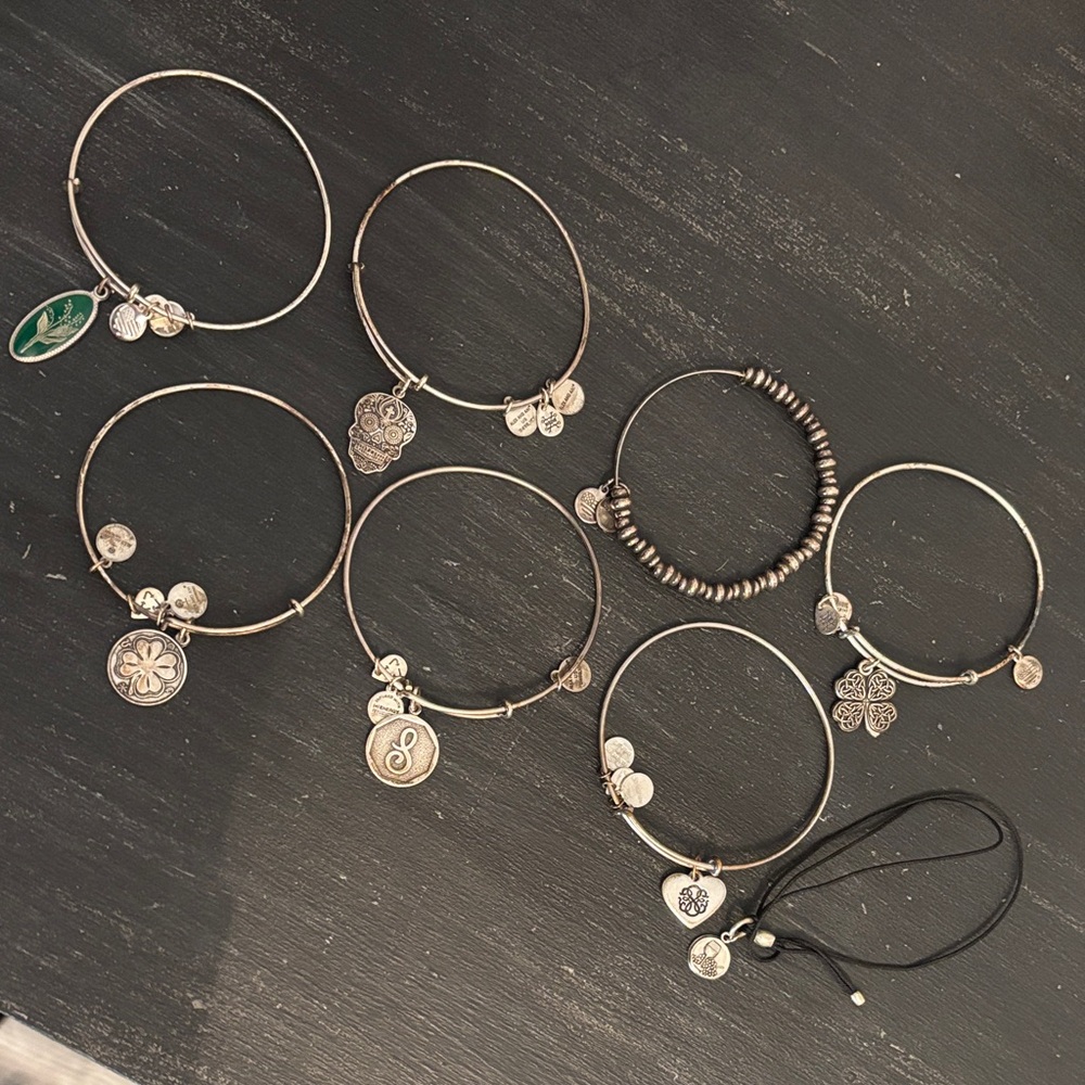 Alex and Ani Silver and Black Charm Bracelet Collection